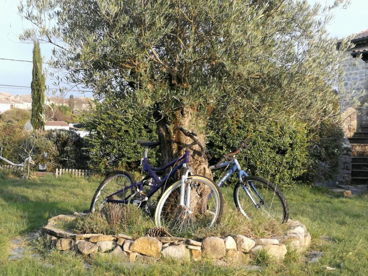 Hébergement de vacances Villa Montloubier à Villeneuve-de-Berg France