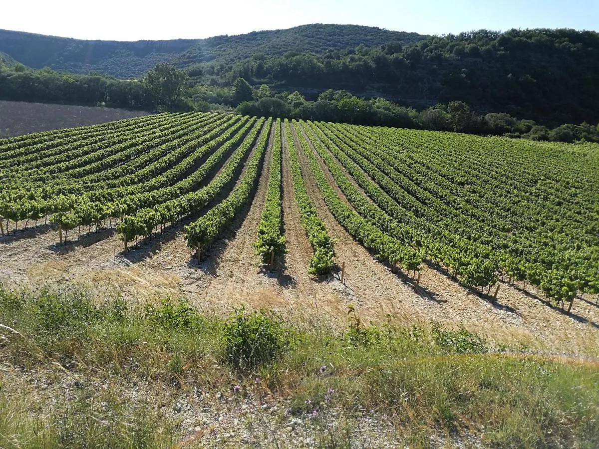 Villa Montloubier Villeneuve-de-Berg 0*,